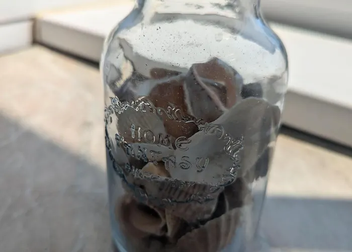 Appartement Sunny Cozy Flat In The Centre, Close To Beach, 4 Rooms, 105sqm Varna